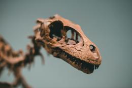A Gambolò si spiega  l’archeologia ai bambini