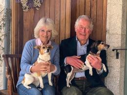 Re, regine e i loro animali domestici. Aneddoti infiniti nel libro di Ercole