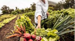 Sistemi agroalimentari: come i "costi nascosti" minacciano salute e ambiente