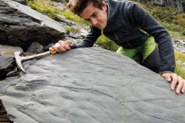 Scoperto nelle Alpi Orobie un giacimento fossilifero di 280 milioni di anni con tracce di vita preistorica