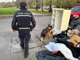 Abbiategrasso, intensificati i controlli antidroga: sequestri e verifiche nei locali