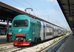 Milano-Mortara, treno in ritardo: sulla ferrovia animali di grossa taglia