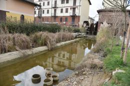 Gambolò: il laghetto ospiterà la biblioteca delle ninfee