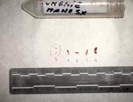 Dal Dna si può identificare qualcuno? Gli esperti non concordano sui risultati