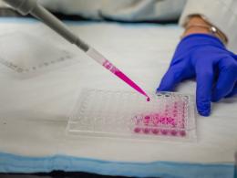 Delitto di Garlasco, le analisi genetiche anche su oggetti ritrovati nella pattumiera di casa Poggi
