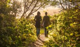 Passeggiata consapevole al tramonto all'Oasi Lipu Bosco del Vignolo