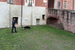 Abbiategrasso, polizia locale e Cinofili di Milano trovano 42 grammi di sostanza stupefacente