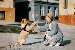 Il cane in famiglia: una tavola rotonda per un rapporto consapevole 