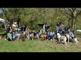 "Adotta un amico!": incontro con i cani in cerca di famiglia al Parco dei Tre Laghi