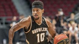 Basket, serie A2: la Elachem Vigevano firma il play americano Blake Francis