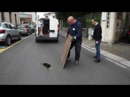 Vigevano, cede l'asfalto in via Madonna degli Angeli: il video
