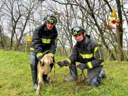 Agnello cade in una scarpata, salvato dai vigili del fuoco a Lomello