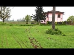 Auto fuori strada a Gambolò: le immagini del campo dove è avvenuto l’incidente mortale