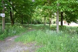 Parco Nuovi nati, tutto fermo a 5 mesi dalla «proposta concreta»