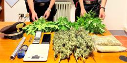 In camera da letto aveva una serra per coltivare le piante di marijuana