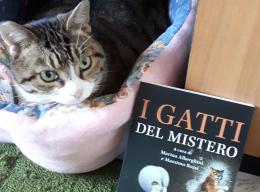 “I gatti del mistero”:  storie di felini mitici e sfuggenti