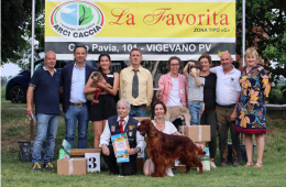 Il gran galà del cane