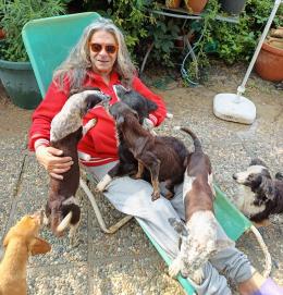 L'appello del cantante: «Una casa per me e per i miei cagnolini»