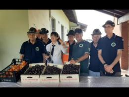 Vigevano, gli Alpini  alla 31esima Ciliegiata. Quest'anno ci sono anche le albicocche