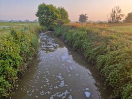 Guasto al depuratore di Mortara, ancora schiuma nell’Arbogna