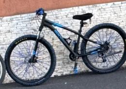 Appello per ritrovare la bici rubata