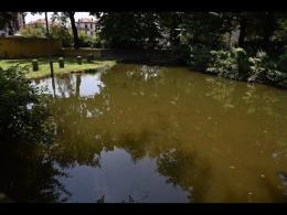 Parco Parri, laghetto completamente da rifare