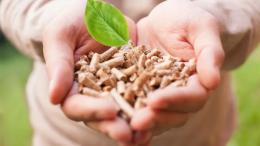 Regione Lombardia: altri 12 milioni per il Bando Biomasse 