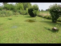 Sforzesca, pompa fuori uso: orti e giardini diventano acquitrini