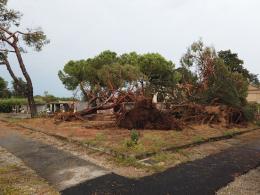 Cimitero, tombe danneggiate e mancati risarcimenti: Rifondazione accusa il sindaco Ceffa