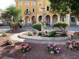 Mortara di corsa verso le elezioni. Nascono le prime idee