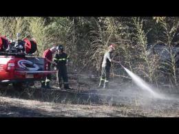 Vigevano, incendio nella zona del parco Robinson: l'intervento dei vigili del fuoco