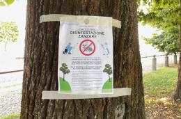 Disinfestazione zanzare a Mortara nelle aree verdi, parchi e frazioni