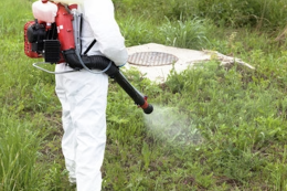 Virus West Nile, un intervento di disinfestazione a Vigevano contro le zanzare