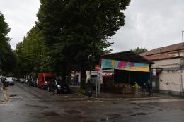 Mercato coperto, tra un mese via ai lavori. Le piante saranno tagliate  ma sostituite, i posti auto eliminati
