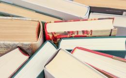 «Le casette dei libri vanno valorizzate». È polemica sui costi di manutenzione a Gambolò