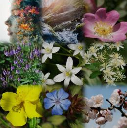 Il benessere che parte dalle nostre radici