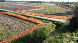 Vigevano-Malpensa, parte la tratta C: il “serpentone” arancione segna l’avvio dei lavori