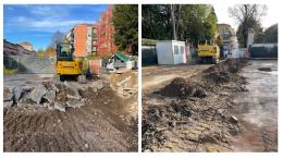 Scavi al mercato coperto: «Nessuna interferenza delle radici dei tigli, si potevano salvare»