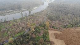 Il lungo cammino per ricostruire i boschi distrutti dalla tempesta