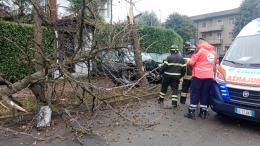 Vigevano, si schianta con l’auto contro un albero