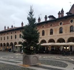 Vigevano, "alberello di Natale" in piazza Ducale per le feste? No, solo un errore di consegna