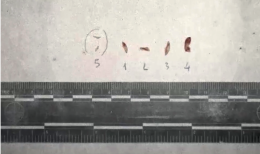 Omicidio di Chiara Poggi: dal Dna nessuna certezza granitica