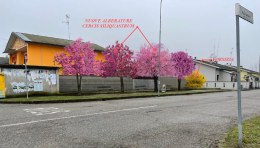 Gambol&ograve;, interventi nelle frazioni: restyling delle aree verdi