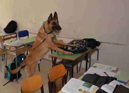 Controlli nelle scuole superiori di Pavia: trovati hashish e tre coltellini