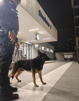 Sicurezza sul territorio: servizi delle forze dell'ordine a Vigevano e Pavia