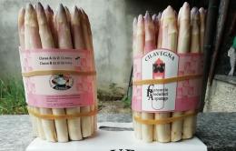 Sagra dell'asparago di Cilavegna, fondi dalla Regione. Pubblicato l&rsquo;avviso per affidare l&rsquo;organizzazione dell&rsquo;evento