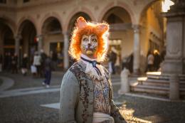 Il &ldquo;Concerto in miao&rdquo; celebra i gatti