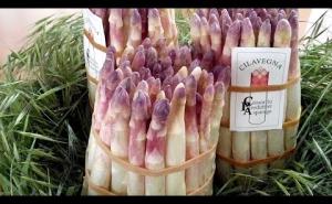 Sagra dell'asparago di Cilavegna: al via la 59esima edizione
