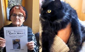 Adotta la gatta nera Trilli e riceve il premio di “gattara dell’anno”
