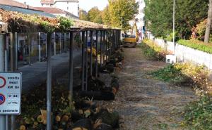 Terminato il "massacro" dei tigli al mercato coperto: le immagini